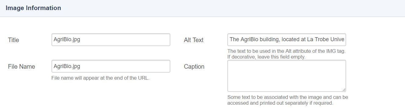Alt-text field on CMS