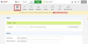 screen capture of details tab in CMS