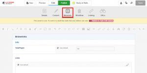 screen capture of metadata tab