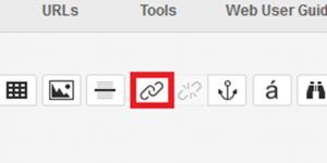 Screen capture of the WYSIWYG Toolbar with the 'hyperlink' icon outlined.