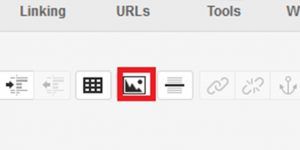Screen capture of the insert an image button.