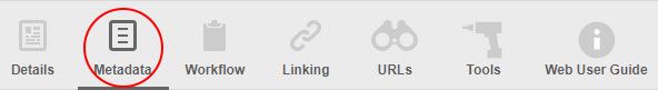 CMS screen capture of the metadata tab