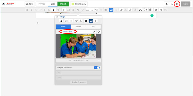 screen capture image search