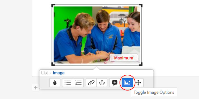 screen capture inline image toolbar