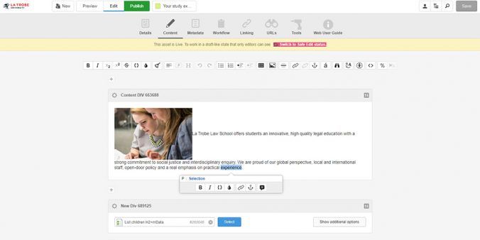 An example of the CMS functions in action. Displaying the WYSIWYG toolbar and inline editing toolbar.