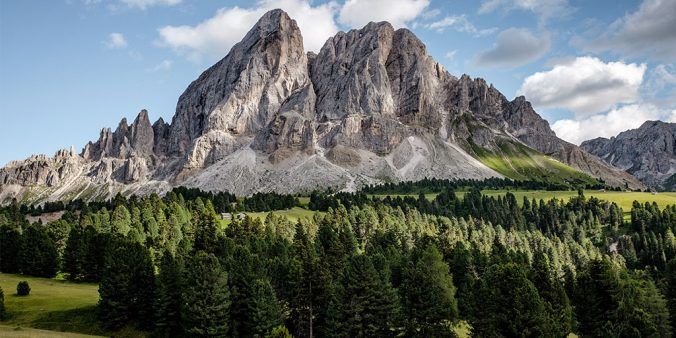 Mountain with alpine forest